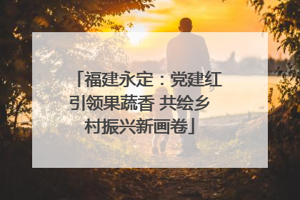 福建永定：党建红引领果蔬香 共绘乡村振兴新画卷