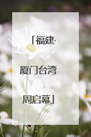 福建·厦门台湾周启幕