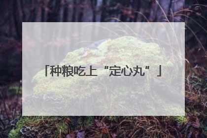 种粮吃上“定心丸”