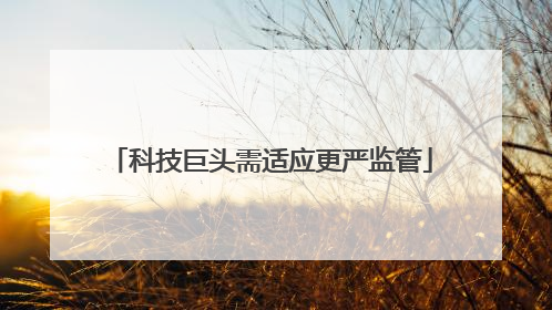 科技巨头需适应更严监管