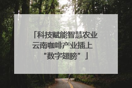 科技赋能智慧农业 云南咖啡产业插上“数字翅膀”