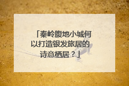 秦岭腹地小城何以打造银发旅居的诗意栖居？