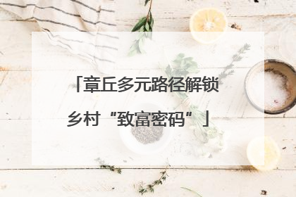 章丘多元路径解锁乡村“致富密码”