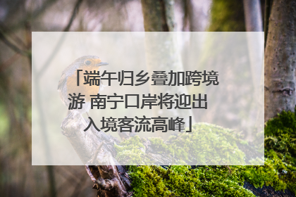 端午归乡叠加跨境游 南宁口岸将迎出入境客流高峰
