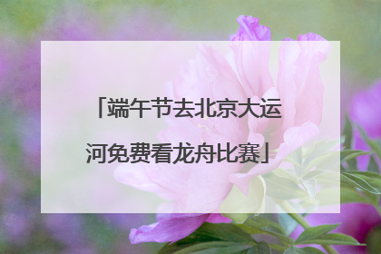 端午节去北京大运河免费看龙舟比赛