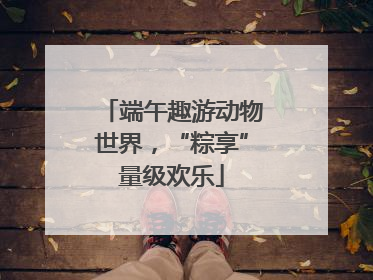 端午趣游动物世界，“粽享”量级欢乐