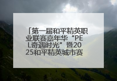 第一届和平精英职业联赛嘉年华“PEL奇遇时光”暨2025和平精英城市赛总决赛盛大启幕