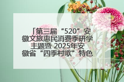 第三届“520”安徽文旅惠民消费季研学主题暨 2025年安徽省“四季村歌”特色展演燃动池州