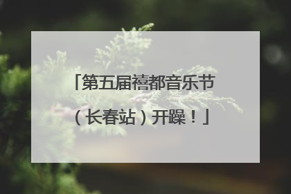 第五届禧都音乐节（长春站）开躁！