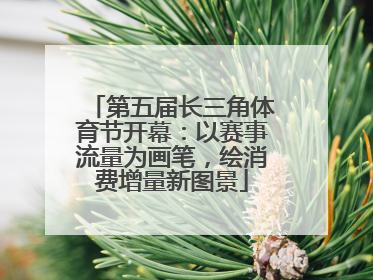 第五届长三角体育节开幕：以赛事流量为画笔，绘消费增量新图景