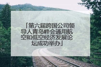 第六届跨国公司领导人青岛峰会通用航空和低空经济发展论坛成功举办
