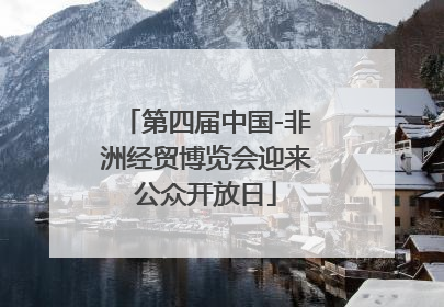 第四届中国-非洲经贸博览会迎来公众开放日