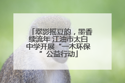 翠影摇夏韵，墨香续流年 江油市太白中学开展“一木环保”公益行动