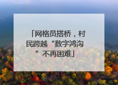 网格员搭桥，村民跨越“数字鸿沟”不再困难