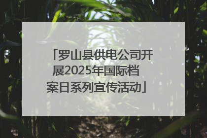 罗山县供电公司开展2025年国际档案日系列宣传活动
