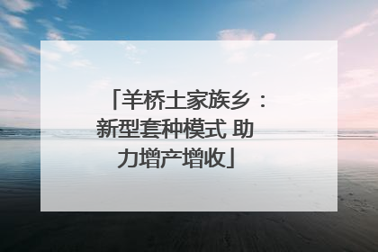 羊桥土家族乡：新型套种模式 助力增产增收