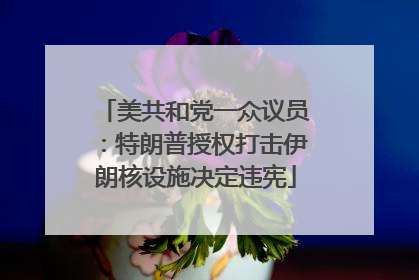 美共和党一众议员：特朗普授权打击伊朗核设施决定违宪