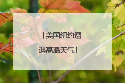 美国纽约遭遇高温天气