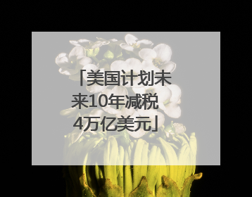 美国计划未来10年减税4万亿美元