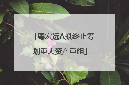 粤宏远A拟终止筹划重大资产重组