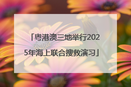 粤港澳三地举行2025年海上联合搜救演习