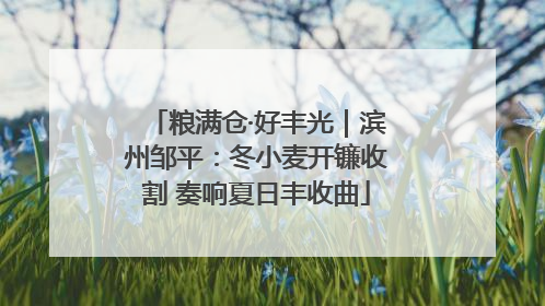 粮满仓·好丰光｜滨州邹平：冬小麦开镰收割 奏响夏日丰收曲