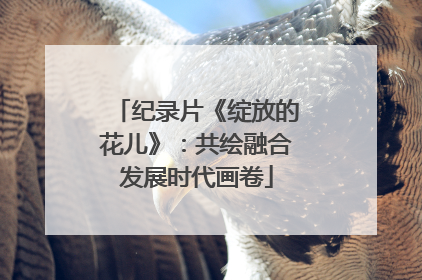 纪录片《绽放的花儿》：共绘融合发展时代画卷