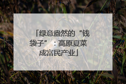 绿意盎然的“钱袋子”：高原夏菜成富民产业
