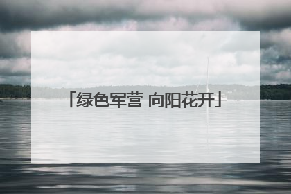 绿色军营 向阳花开