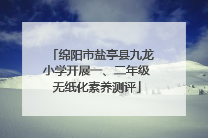 绵阳市盐亭县九龙小学开展一、二年级无纸化素养测评