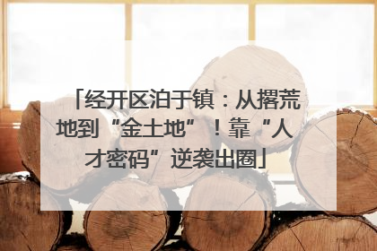 经开区泊于镇：从撂荒地到“金土地”！靠“人才密码”逆袭出圈