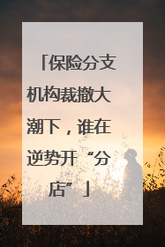 保险分支机构裁撤大潮下，谁在逆势开“分店”