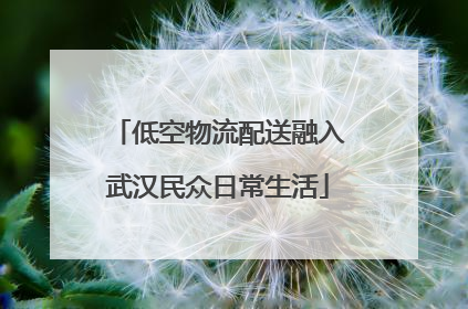 低空物流配送融入武汉民众日常生活