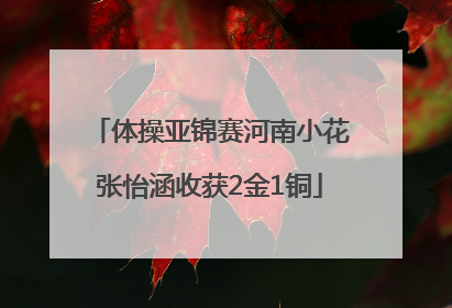 体操亚锦赛河南小花张怡涵收获2金1铜