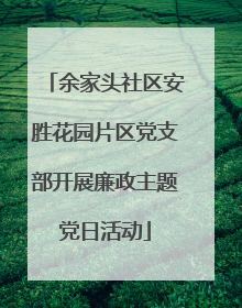 余家头社区安胜花园片区党支部开展廉政主题党日活动