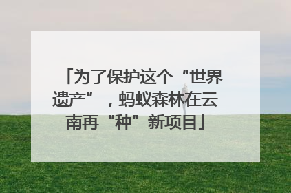 为了保护这个“世界遗产”，蚂蚁森林在云南再“种”新项目