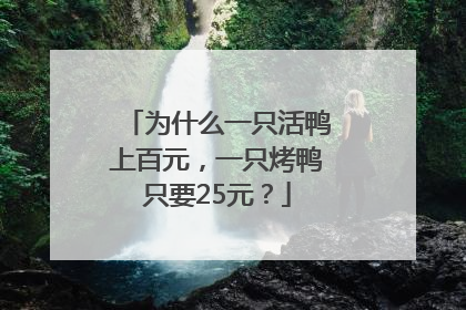 为什么一只活鸭上百元，一只烤鸭只要25元？