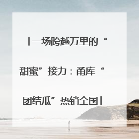 一场跨越万里的“甜蜜”接力：甬库“团结瓜”热销全国