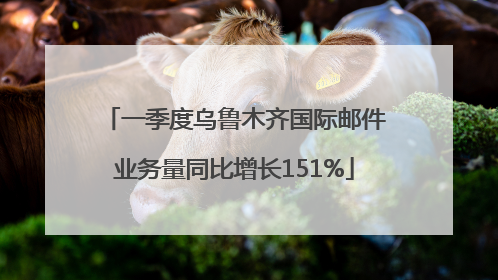 一季度乌鲁木齐国际邮件业务量同比增长151%