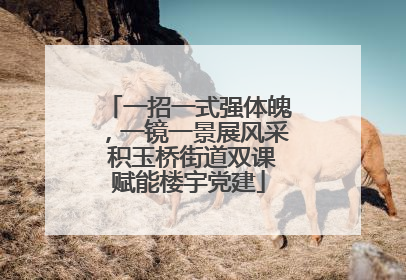 一招一式强体魄，一镜一景展风采 积玉桥街道双课赋能楼宇党建