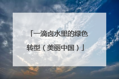 一滴卤水里的绿色转型（美丽中国）
