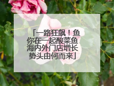 一路狂飙！鱼你在一起酸菜鱼海内外门店增长势头由何而来
