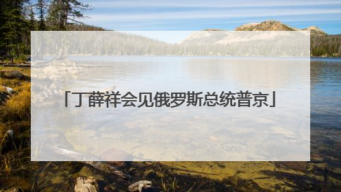 丁薛祥会见俄罗斯总统普京