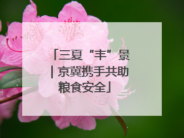 三夏“丰”景｜京冀携手共助粮食安全