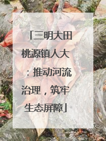 三明大田桃源镇人大：推动河流治理，筑牢生态屏障