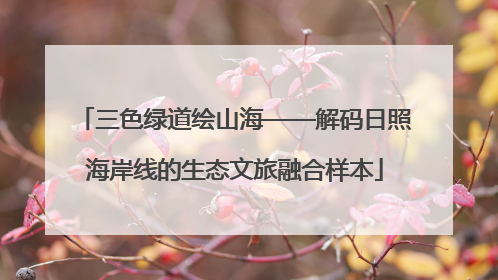 三色绿道绘山海——解码日照海岸线的生态文旅融合样本