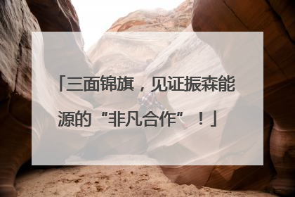三面锦旗，见证振森能源的“非凡合作”！