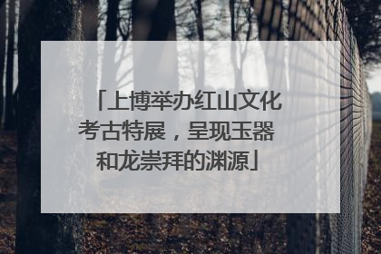 上博举办红山文化考古特展，呈现玉器和龙崇拜的渊源