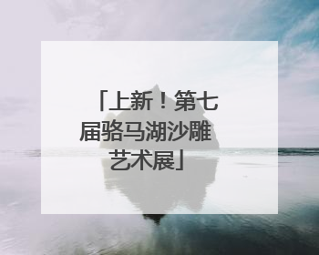 上新！第七届骆马湖沙雕艺术展