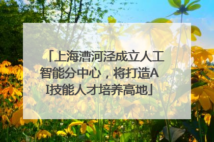 上海漕河泾成立人工智能分中心，将打造AI技能人才培养高地